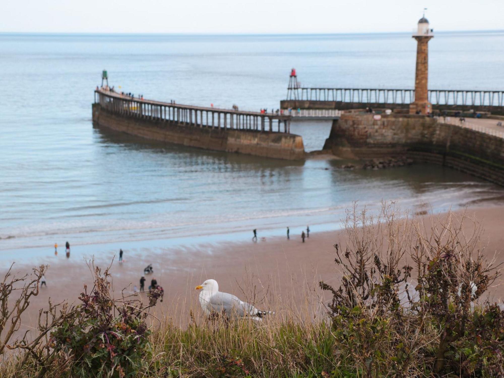 Rosemary Cottage Whitby Zewnętrze zdjęcie